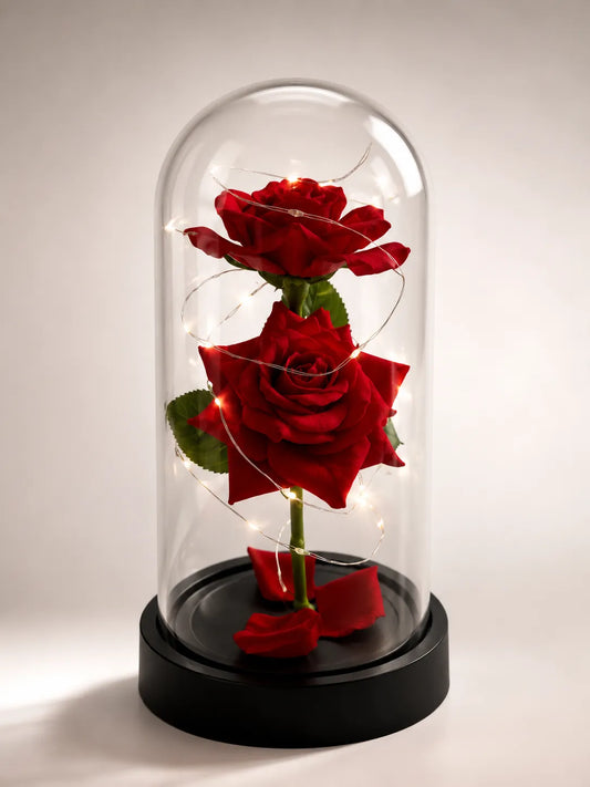 Rose Éternelle Royale