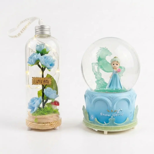 Pack Princesse de Glace