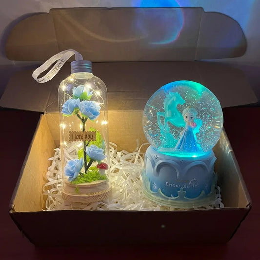 Pack Princesse de Glace
